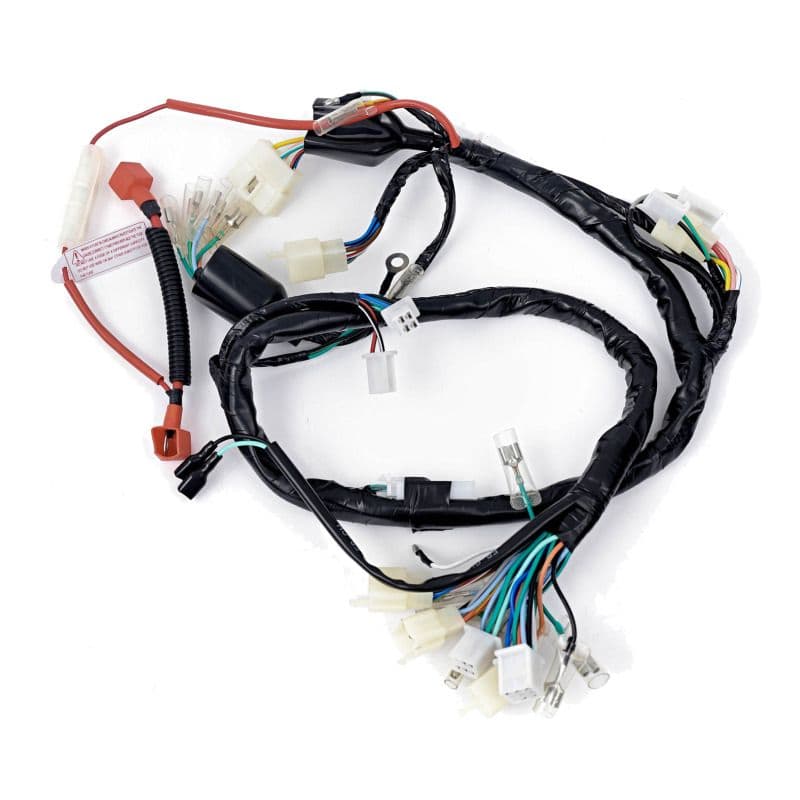 Cableado Principal Mondial W150 Original