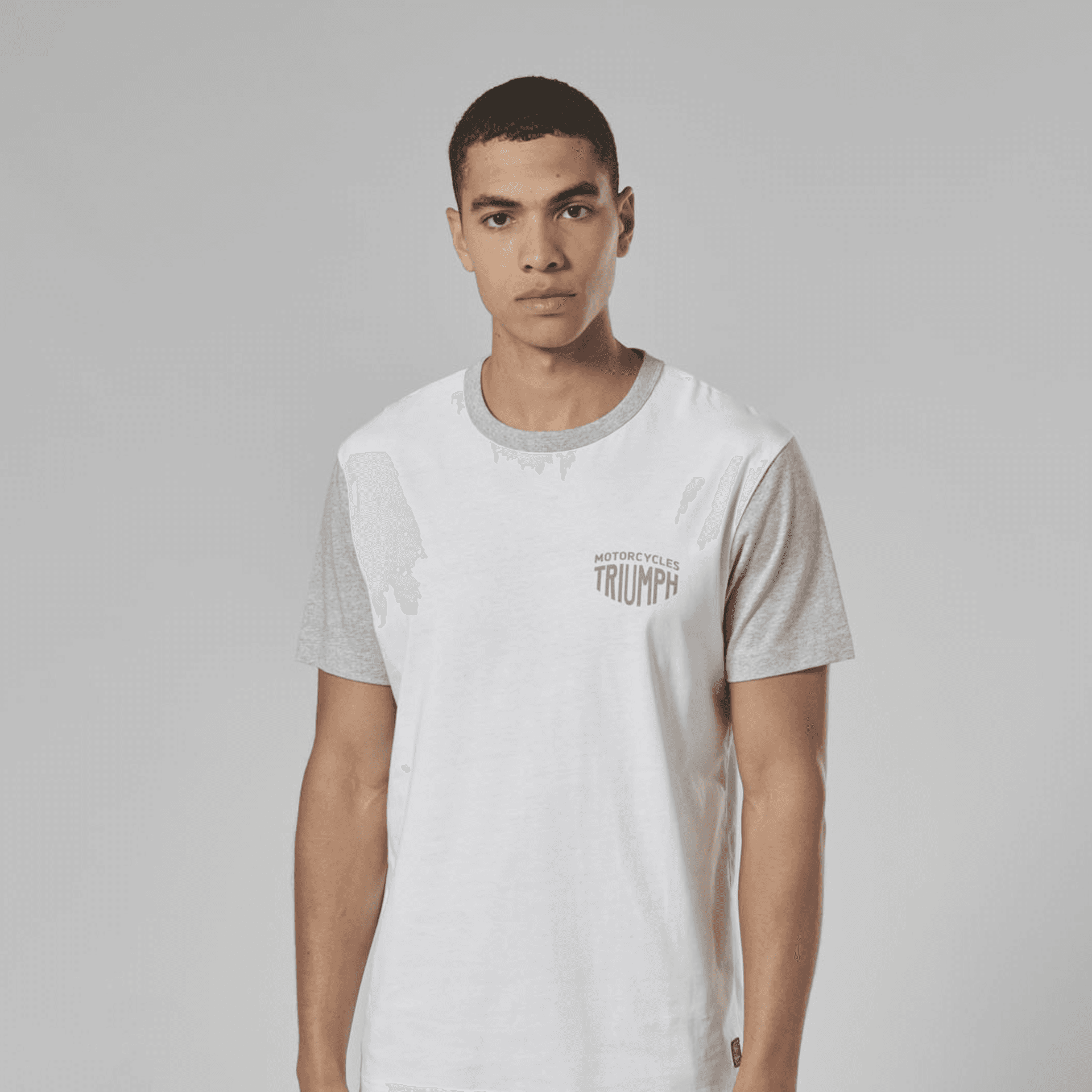 Remera Algodon Hombre Gris/blanco Triumph Original